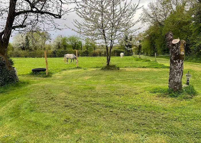 Le Beau Repaire De Jean 펜션